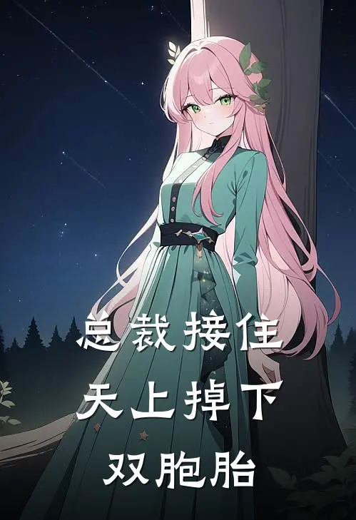 总裁接住，天上掉下双胞胎