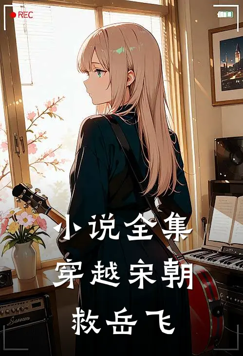 小说全集穿越宋朝救岳飞
