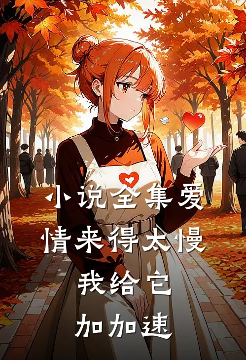 小说全集爱情来得太慢，我给它加加速