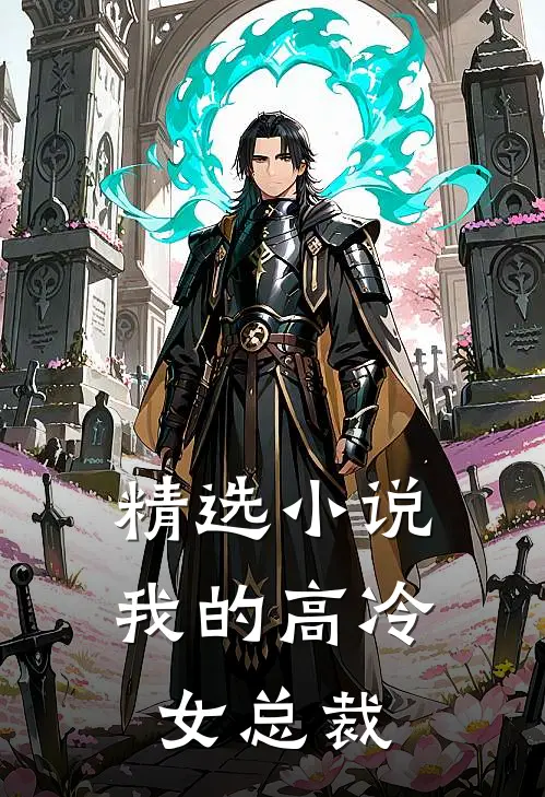精选小说我的高冷女总裁