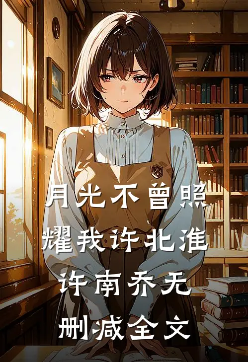 月光不曾照耀我许北淮许南乔无删减全文