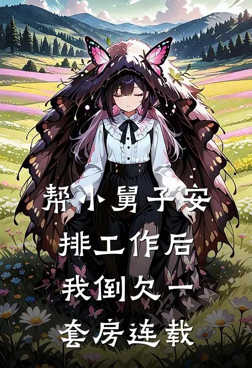 帮小舅子安排工作后，我倒欠一套房连载