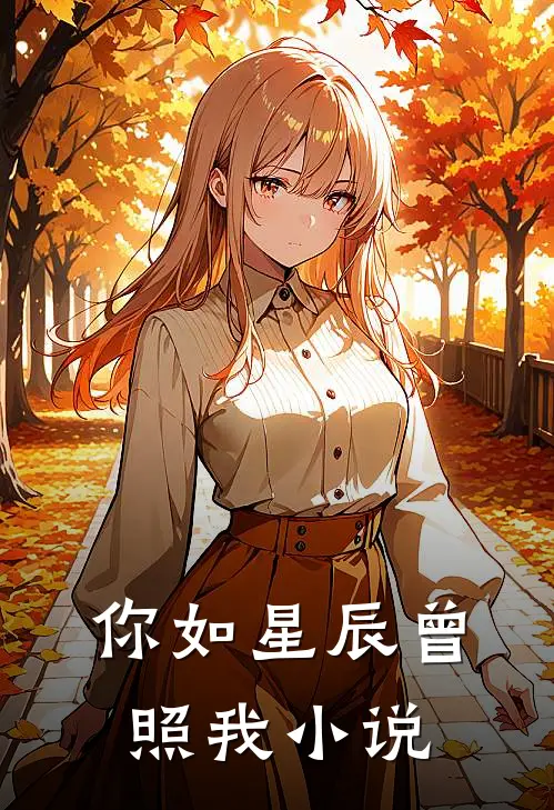 你如星辰曾照我小说