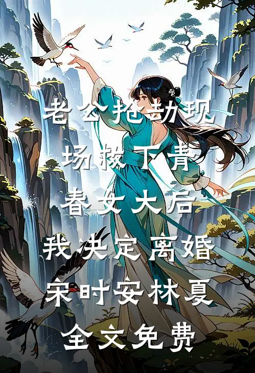 老公抢劫现场救下青春女大后，我决定离婚宋时安林夏全文免费