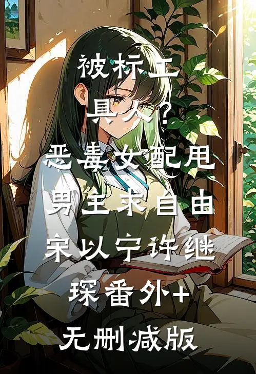 被标工具人？恶毒女配甩男主求自由宋以宁许继琛番外+无删减版