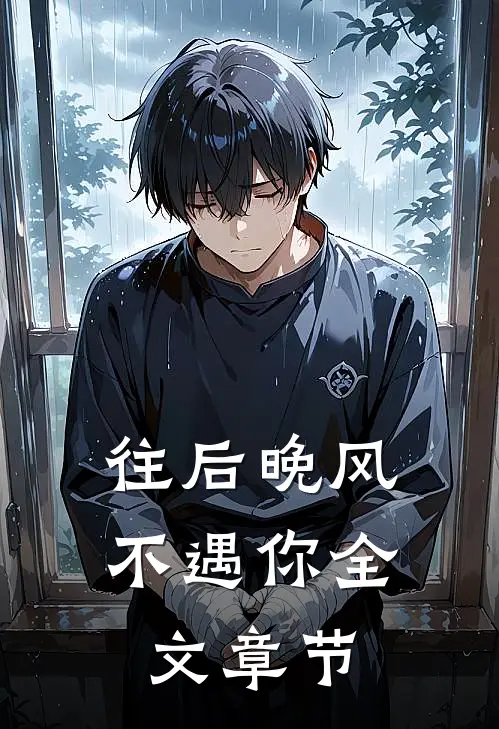 往后晚风不遇你全文章节