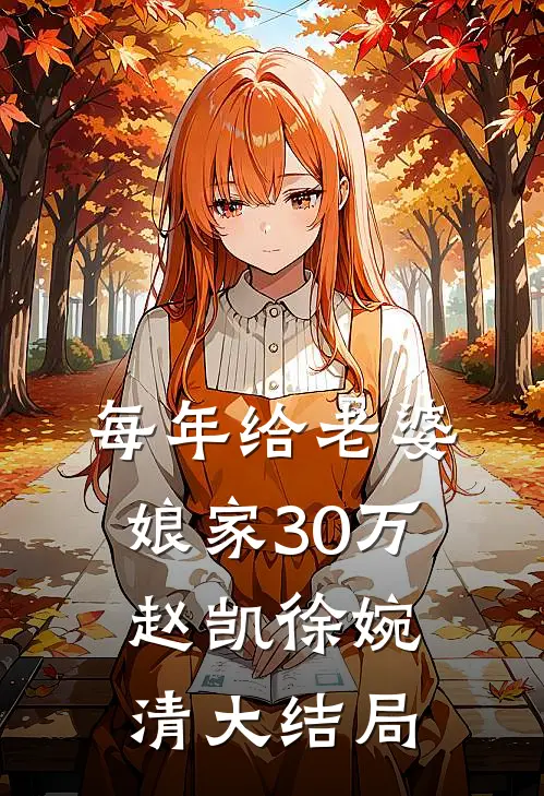 每年给老婆娘家30万赵凯徐婉清大结局
