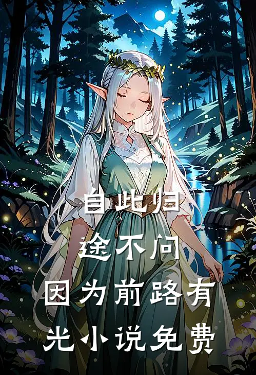 自此归途不问，因为前路有光小说免费