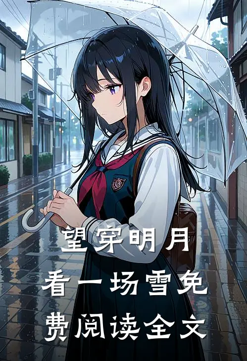 望穿明月，看一场雪免费阅读全文