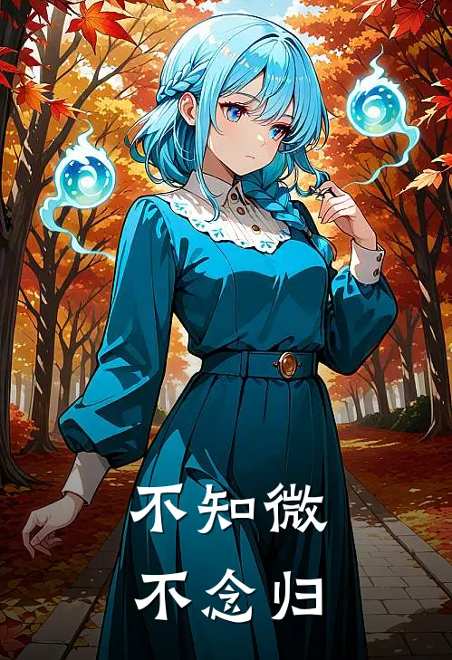 不知微，不念归