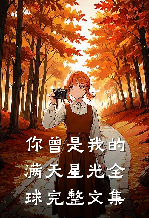 你曾是我的满天星光全球完整文集