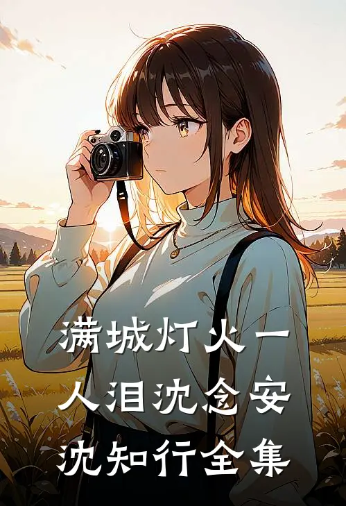 满城灯火一人泪沈念安沈知行全集