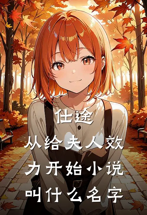 仕途：从给夫人效力开始小说叫什么名字