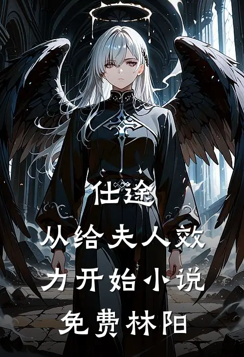 仕途：从给夫人效力开始小说免费林阳