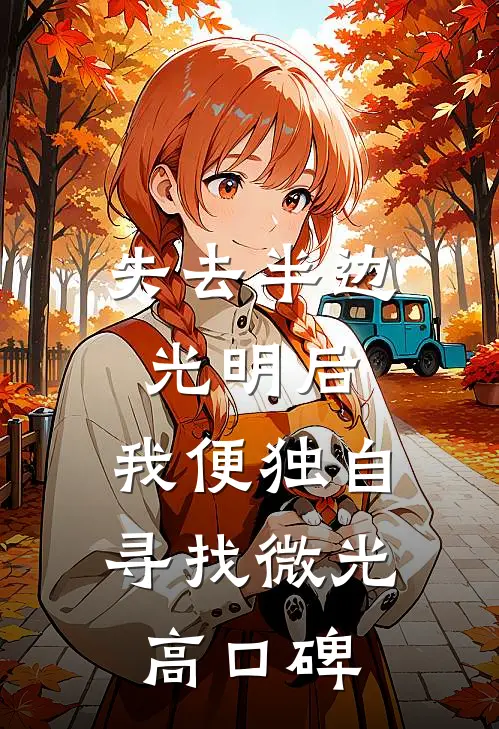 失去半边光明后，我便独自寻找微光高口碑