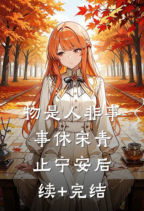 物是人非事事休宋青止宁安后续+完结