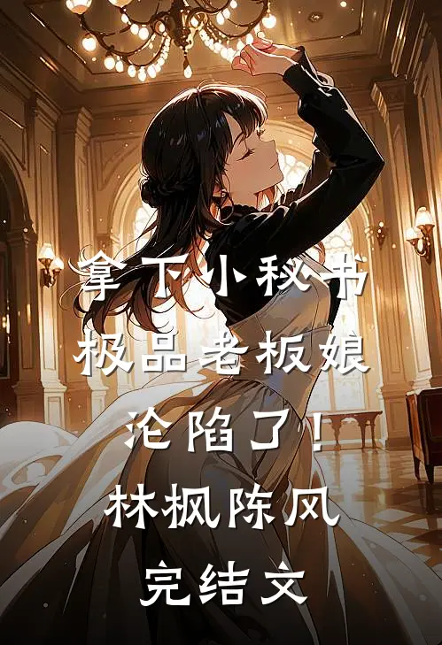 拿下小秘书，极品老板娘沦陷了！林枫陈风完结文