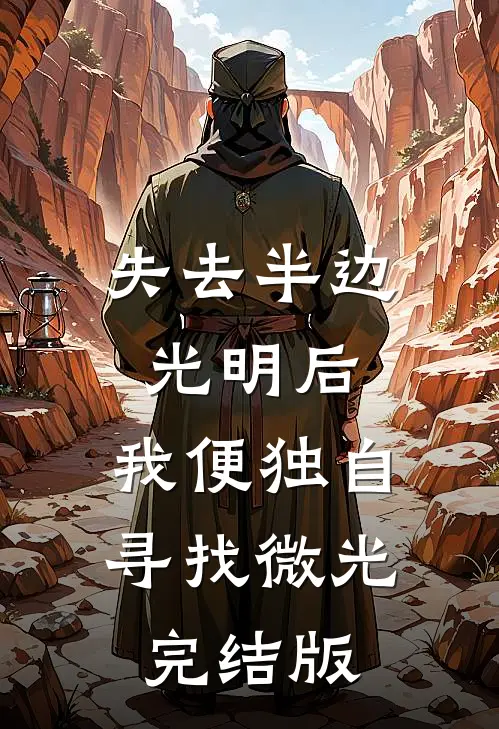 失去半边光明后，我便独自寻找微光完结版