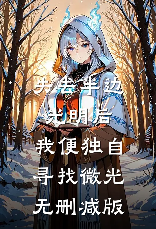 失去半边光明后，我便独自寻找微光无删减版