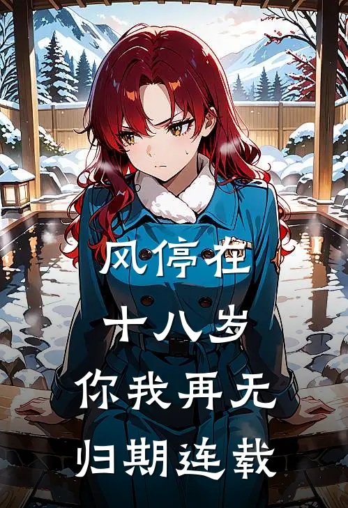 风停在十八岁，你我再无归期连载