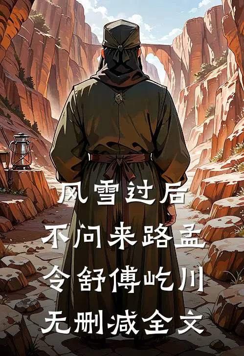风雪过后，不问来路孟令舒傅屹川无删减全文