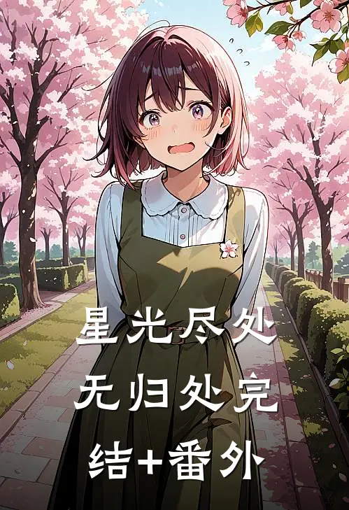 星光尽处无归处完结+番外