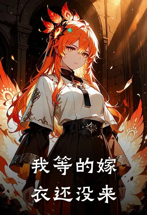 我等的嫁衣还没来