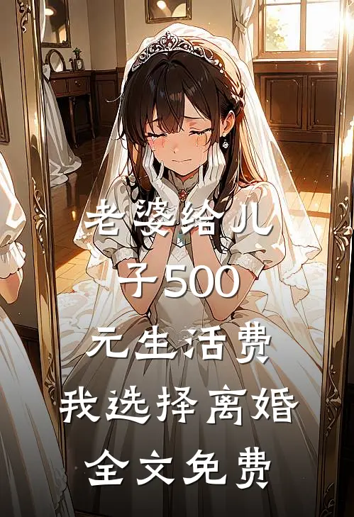 老婆给儿子500元生活费，我选择离婚全文免费