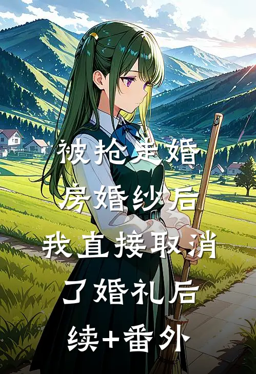 被抢走婚房婚纱后，我直接取消了婚礼后续+番外
