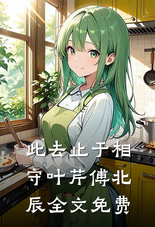 此去止于相守叶芹傅北辰全文免费