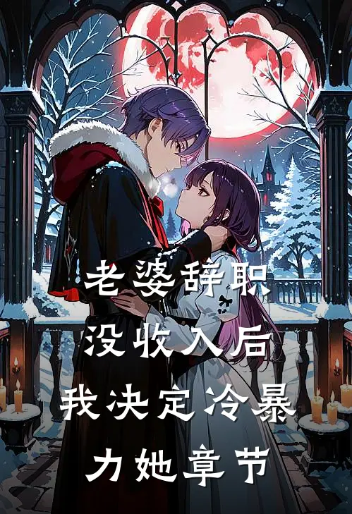 老婆辞职没收入后，我决定冷暴力她章节