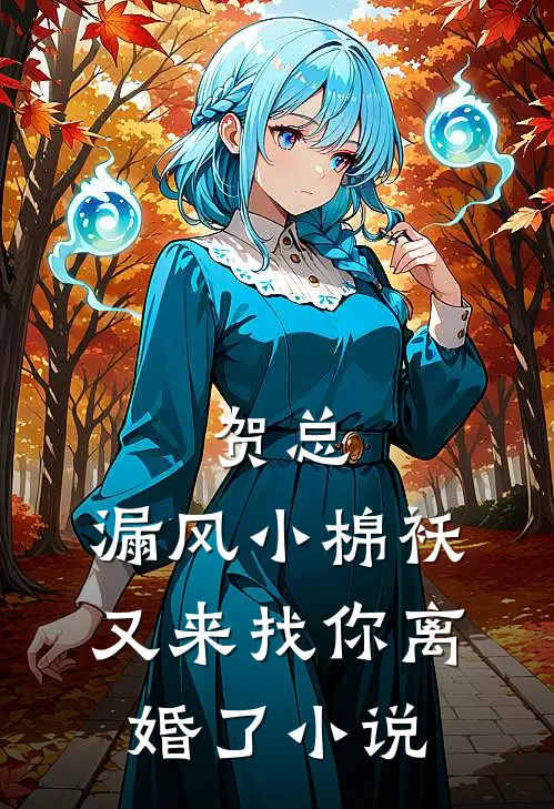贺总，漏风小棉袄又来找你离婚了小说