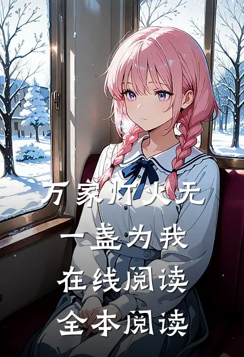 万家灯火无一盏为我在线阅读全本阅读