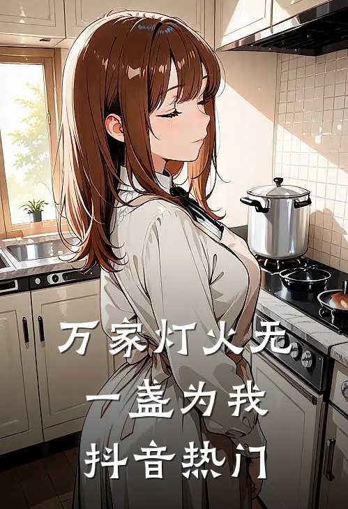 万家灯火无一盏为我抖音热门