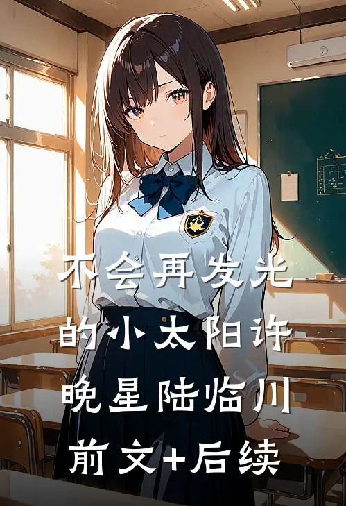 不会再发光的小太阳许晚星陆临川前文+后续