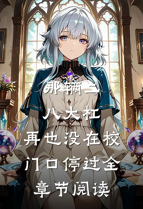 那辆二八大杠，再也没在校门口停过全章节阅读