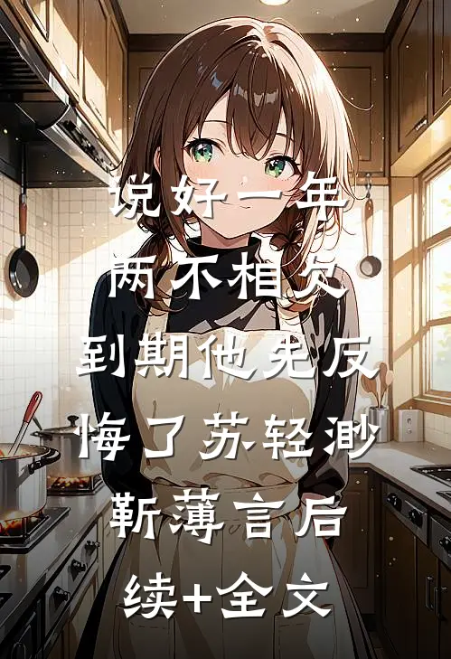 说好一年两不相欠，到期他先反悔了苏轻渺靳薄言后续+全文
