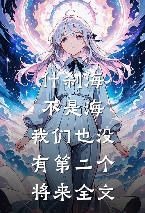 什刹海不是海，我们也没有第二个将来全文