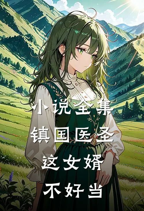 小说全集镇国医圣：这女婿不好当