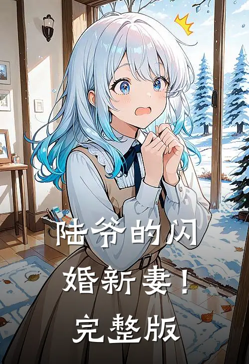 陆爷的闪婚新妻！完整版