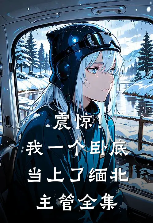 震惊！我一个卧底当上了缅北主管全集