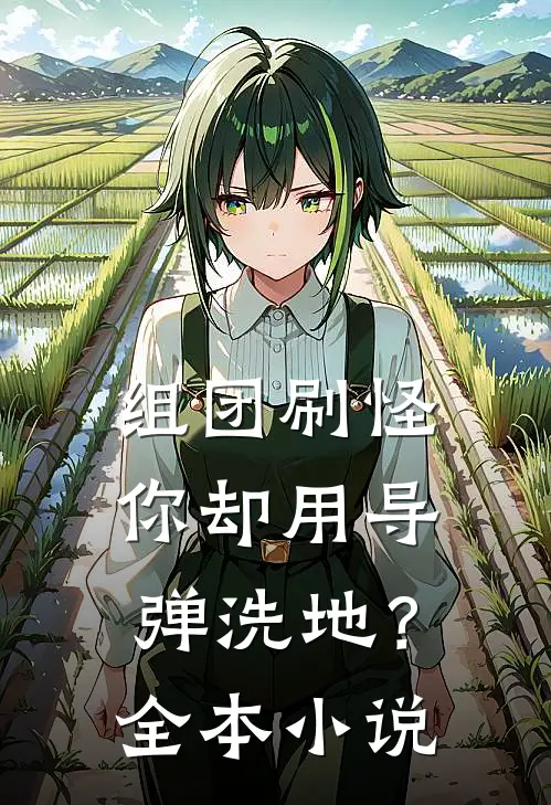 组团刷怪，你却用导弹洗地？全本小说