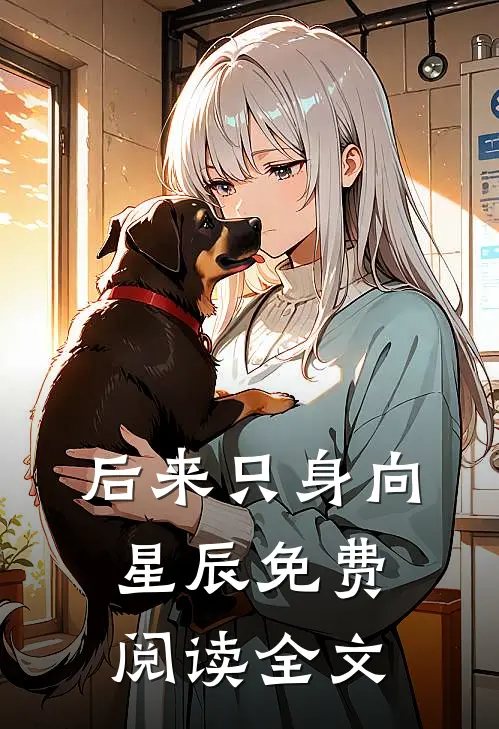 再无相思寄流年全局