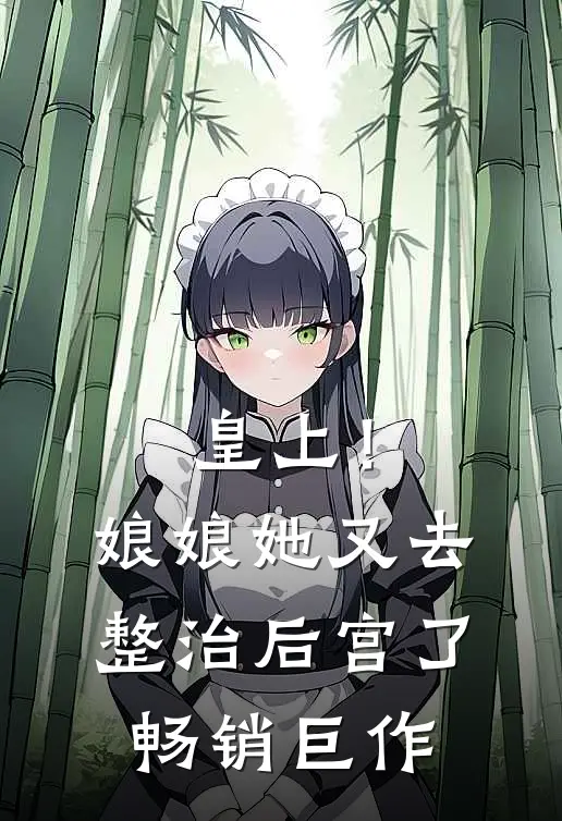 皇上！娘娘她又去整治后宫了畅销巨作