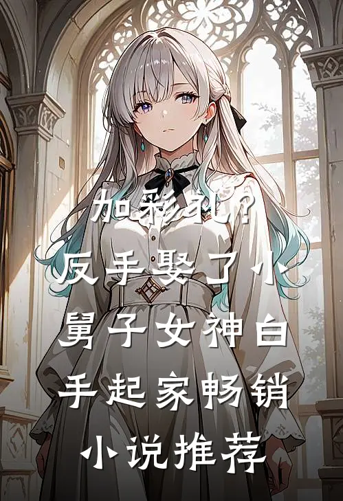 加彩礼？反手娶了小舅子女神，白手起家畅销小说推荐