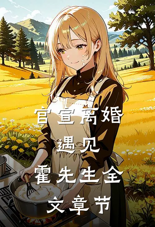 官宣离婚：遇见，霍先生全文章节