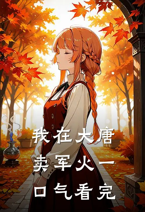 我在大唐卖军火一口气看完