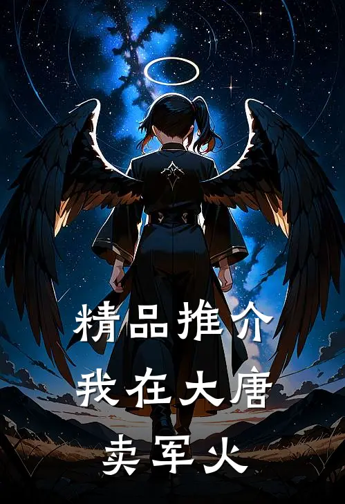 精品推介我在大唐卖军火