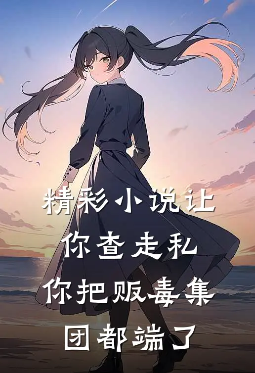 精彩小说让你查走私，你把贩毒集团都端了