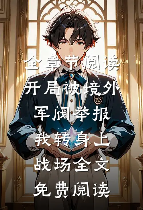 全章节阅读开局被境外军阀举报,我转身上战场全文免费阅读